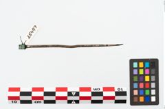 Foto von Bronzerollenkopfnadel (NHMW-PRAE-025497)